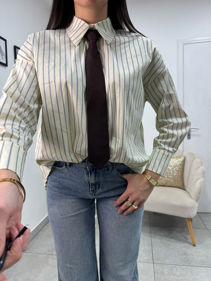 Cravatta Zip Marrone